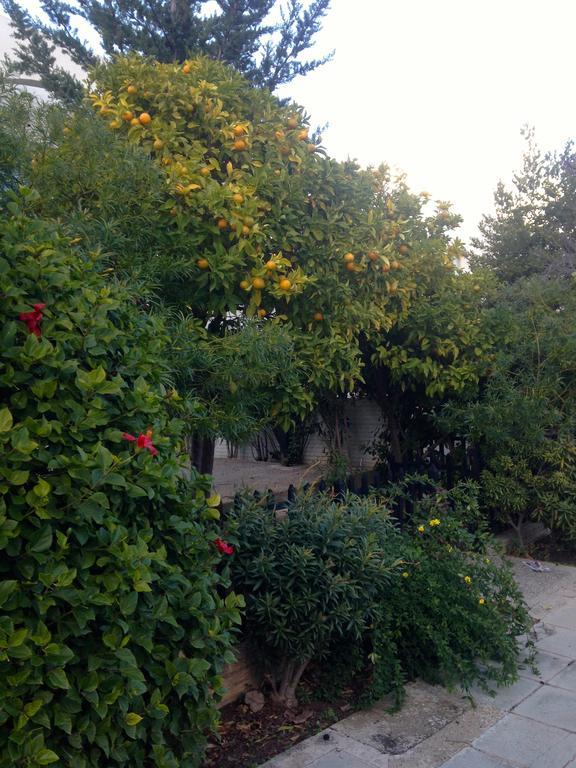 Paphos Studios Kültér fotó